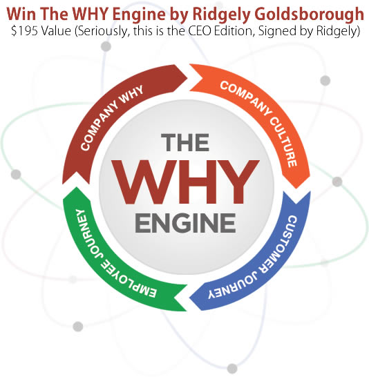The Why Engine by Ridgely Goldsborough