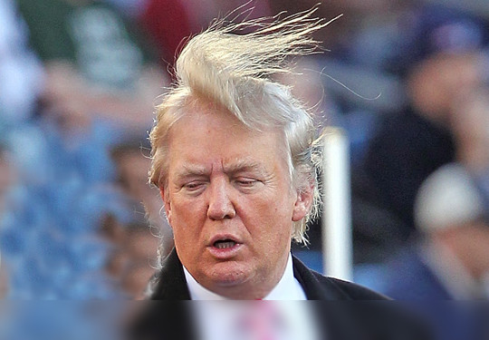 Image result for trump crazy hair