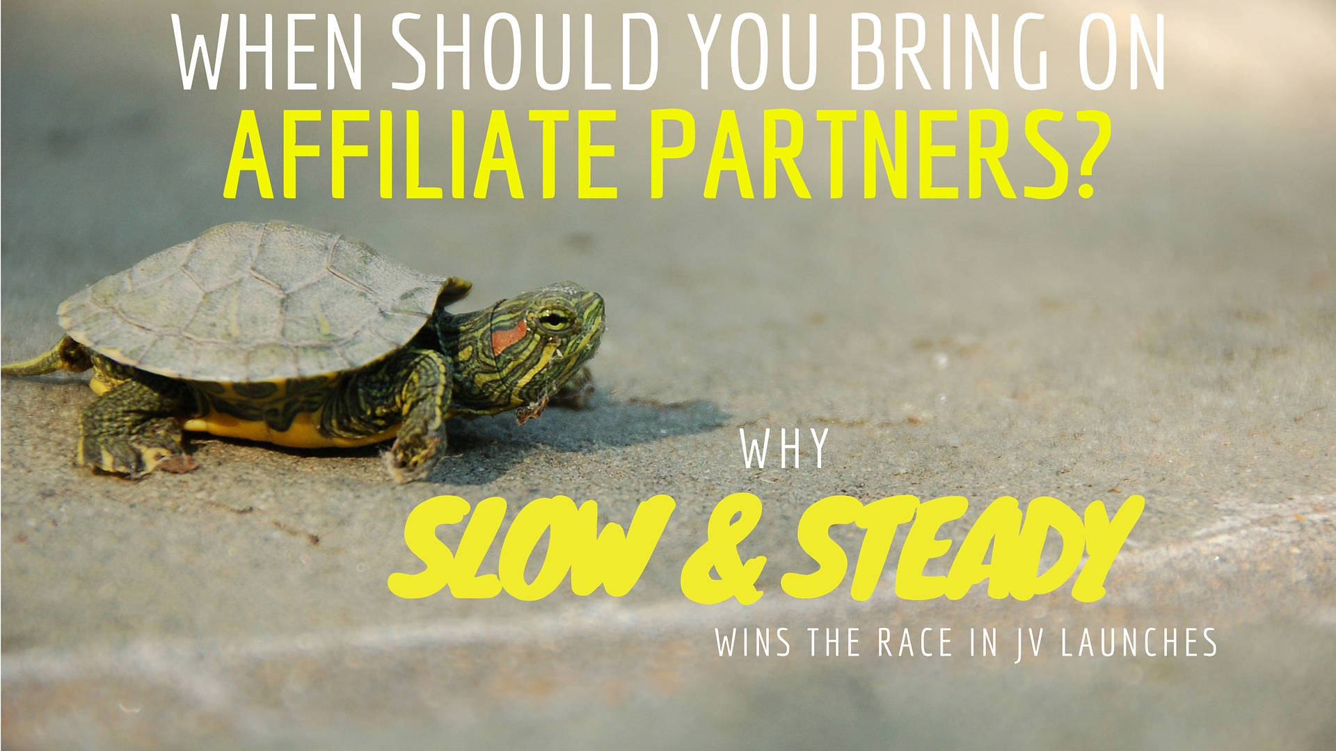 When should you bring on affiliate partners