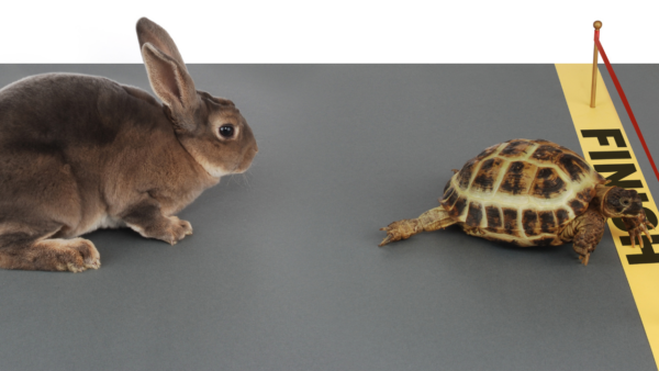 Lesson on the Tortoise and the Hare about Entrepreneurship with Dave Ramsey
