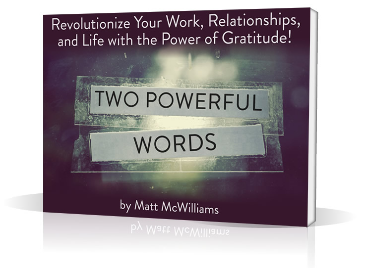 Thank You Revolution Book Matt McWilliams