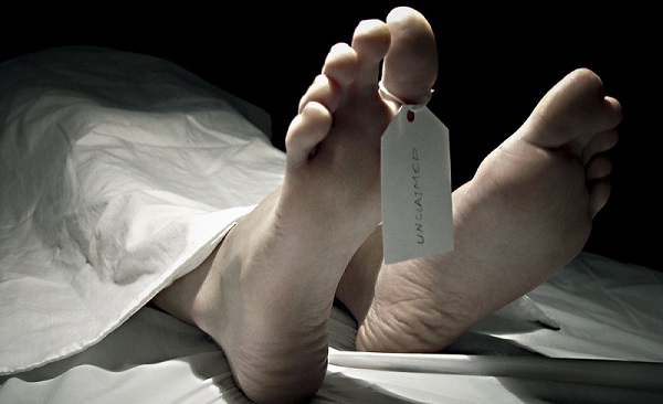 Autopsy of a Failed Business