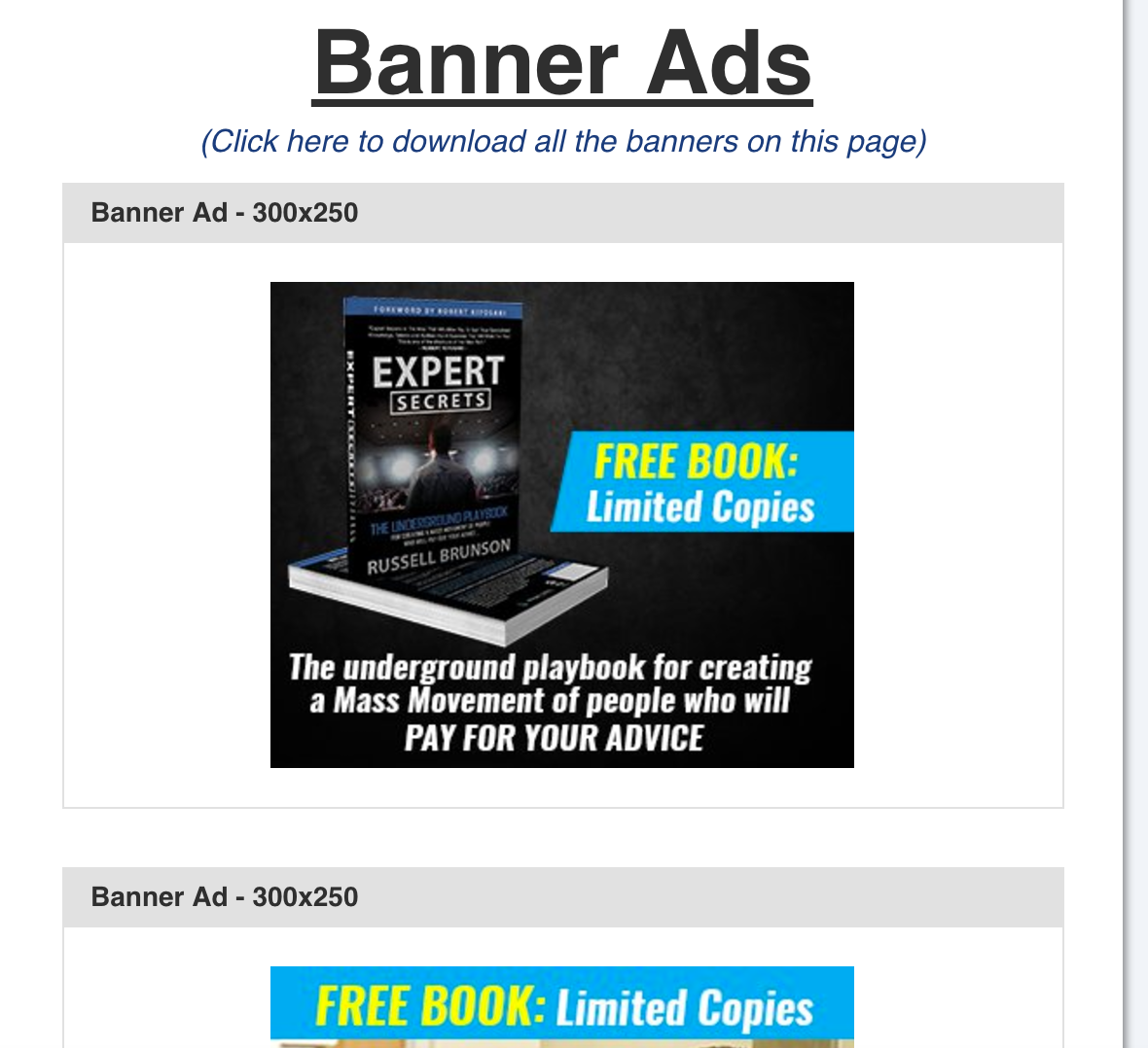 Russell Brunson's Expert Secrets Sidebar Ad