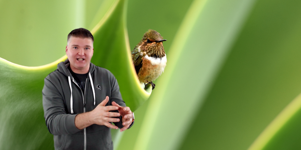 The Future of Affiliate Marketing & The Advantage of Being Small