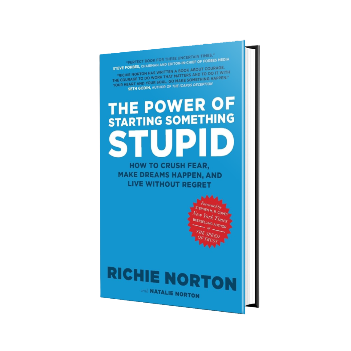 The Power of Starting Something Stupid Book By Richie Norton